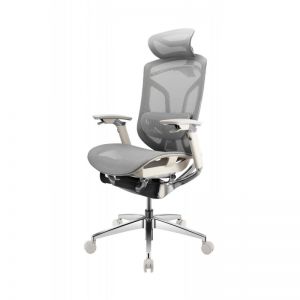 ������������ ������ GTCHAIR Chair Dvary X Pro, �����
