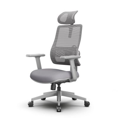 ������������ ������ FoxGear NETZ One, DGGY, �����