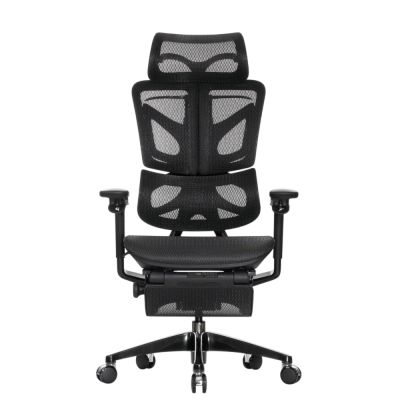 ������������ ������ Falto BLACK DIAMOND ����� �������, ���������� �� �������������, �����, ������