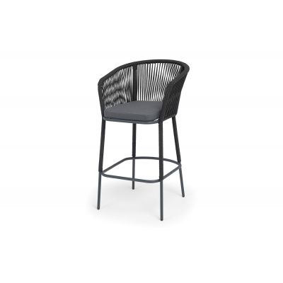 ������� ������ 4SIS �������