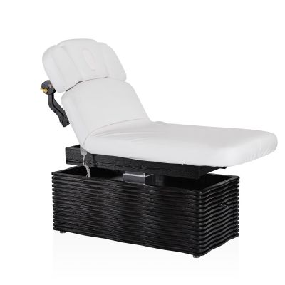 ������������ ��������� ���� Mizomed NESS-D Salon, �����