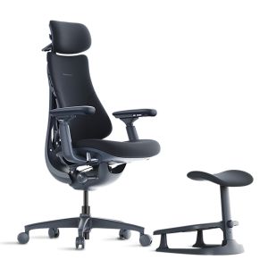 ������� ������ LiberNovo Omni, ������