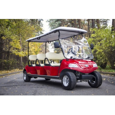      Smart Elcar Express 6