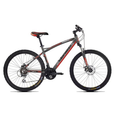   - Meratti Forza Due disc (16,26") 