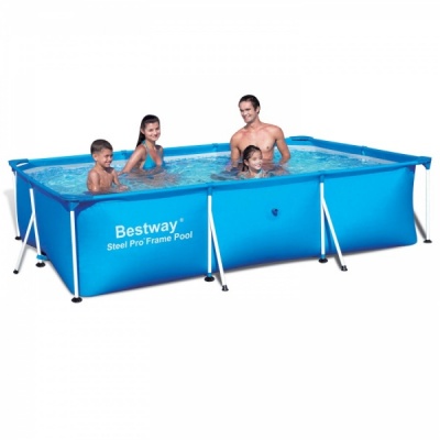   Bestway 30020166 , 3300 
